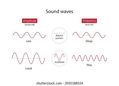 The structure of sound waves. Frequency, amplitude and vibration