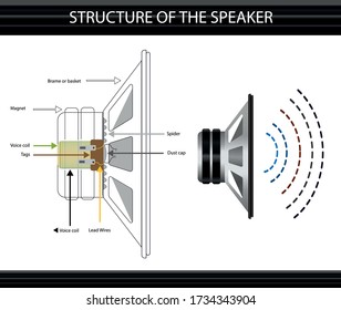 structure of the speaker. speaker and coil. subject of physics lesson speaker. speaker system. infographics. sound wave. wave size