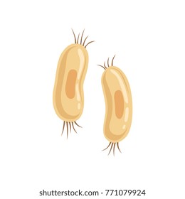 Structure of spirillum with flagella on both ends. Microorganism concept. Flat vector design element for medical flyer, poster or infographic