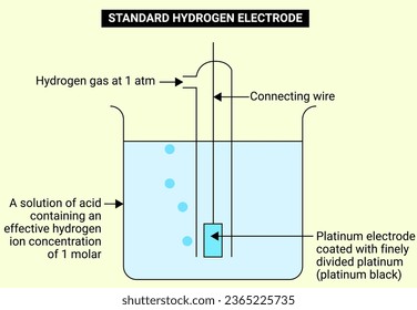 Structure of Standard Hydrogen Electrode