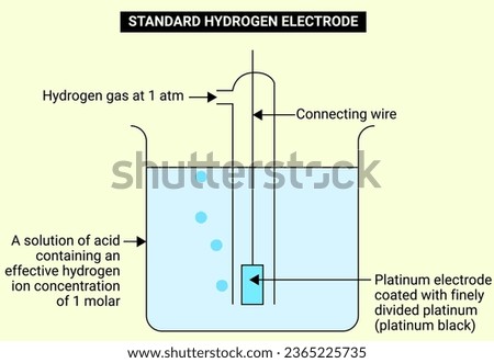 Structure of Standard Hydrogen Electrode