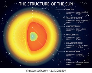 The structure of the Sun. Colored vector illustration.