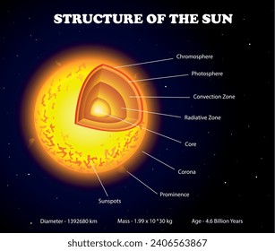 Structure of the sun diagram. Science education vector illustration