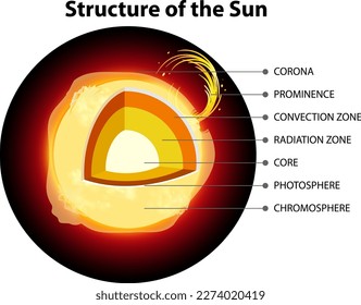 The Structure of the Sun illustration