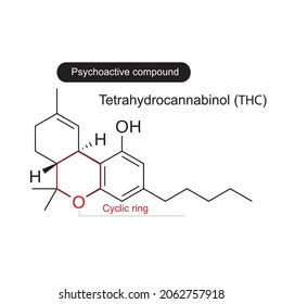 Structure Tetrahydrocannabinol Thc Isolated On White: เวกเตอร์สต็อก ...