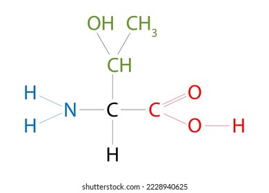 The structure of Threonine. Threonine is an amino acid that has a side chain containing a hydroxyl group.