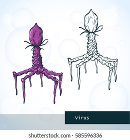 Structure of virus. Vector illustration