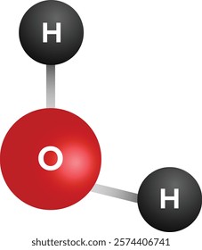 Structure of a water (H2O) molecule.
