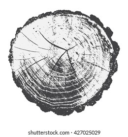 Structure of wood. Cross section of a tree trunk and stump. Vector and illustration. 