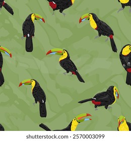 Structured Seamless pattern with Keel-billed toucan. Realistic vector jungle birds