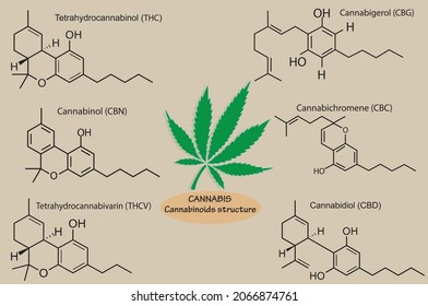 Estructuras de cannabinoides en planta de cannabis aisladas en el fondo. 