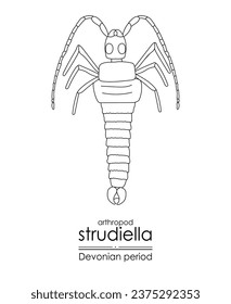 Strudiella, a Devonian period arthropod, but possible an insect, black and white line art illustration. Ideal for both coloring and educational purposes