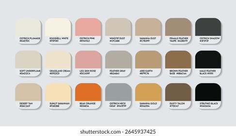 Paleta de Cores Struthio camelus. Gráfico de Amostra de Tom de cor Struthio camelus com Códigos HEX e Nomes de Cor. avestruzes cores de penas e corpo tons variantes. Paleta de Tons de Ênfase nos Pés, Bico e Olhos.