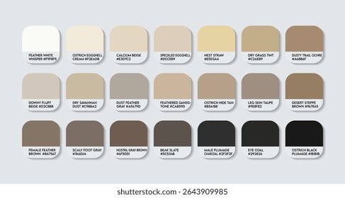 Struthionidae Color Palette. Struthionidae color Tone Swatch Chart with HEX Codes and Color Names. Ostrich Feather and Body Colors Tones Variants. Feet, Beak and Eye Accents Tones colure Palette.
