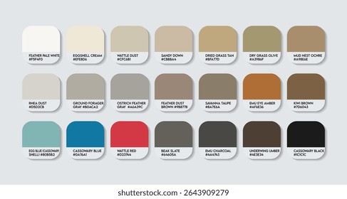 Paleta de cores Struthioniformes. Struthioniformes cor Tom gráfico de amostra com códigos HEX e nomes de cores. Variantes de Tons de Pena e Habitat Terrestres. Camuflagem natural e tons de terra colure Paleta.