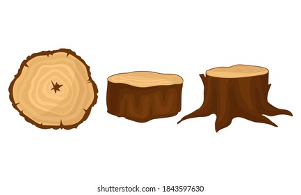 Stub and Cross Section Timber as Material for Carpentry Vector Set