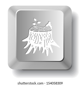 Stub. Vector computer key.