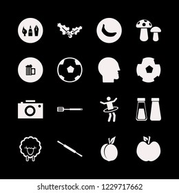 studio icon. studio vector icons set rolling pin, mushrooms, salt pepper shaker and camera