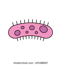 Study of bacteria icon
