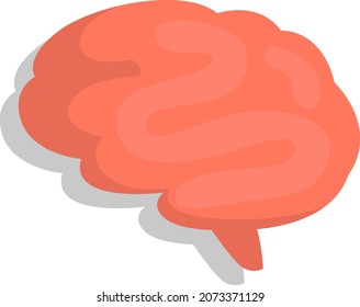 Study brain, illustration, vector, on a white background.