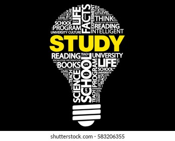 STUDY bulb word cloud, business concept