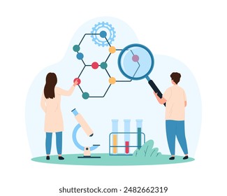 Study of chemical formula, structure of molecule and atoms, organic and inorganic substance Tiny people studying molecular model with magnifying glass and microscope cartoon vector illustration