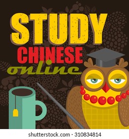 Study Chinese on-line banner for the web school.Vector illustration.
