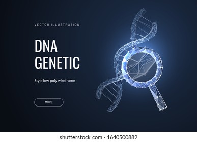 Study DNA or Helix. Low poly wire frame style. Banner concept for biotech, science, medicine. Technology and innovation in genetic engineering. Polygonal abstract isolated on dark background. Vector