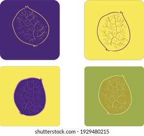 Un estudio en cuatro colores y rellenos de forma de hoja llenos de muchas ramas pequeñas dentro de él.