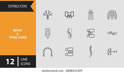 Study human anatomy with this detailed nerve and spine icons outline icon set excellent for chiropractic clinics biological diagrams and neurological research publications