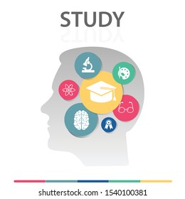 Study Infographics vector design. Timeline concept include graduation cap, microscope, brain icons. Can be used for report, presentation, diagram, web design.