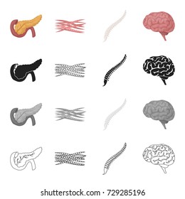 Study, prevention, hospital and other web icon in cartoon style.Thinking, internal, medicine icons in set collection.
