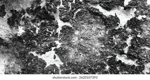 A Study in the Quiet Brutality of Geological Change

