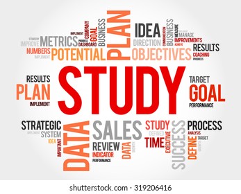 Study word cloud, business concept