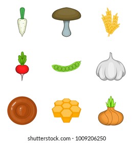 Stuff icons set. Cartoon set of 9 stuff vector icons for web isolated on white background