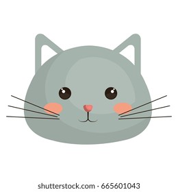 Stuffed animal cat