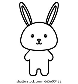 Stuffed animal rabbit