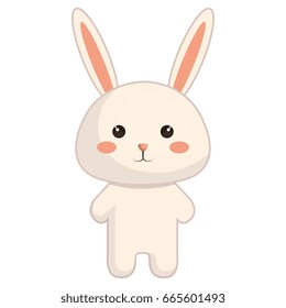 Stuffed Animal Rabbit