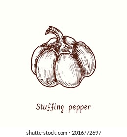 Stuffing pepper. Ink black and white doodle drawing in woodcut style.