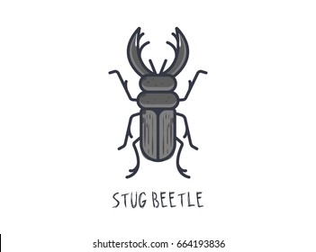 Stug beetle insect, colored with grey hues, outlined with black stroke. Vector. Signed with it's name.
