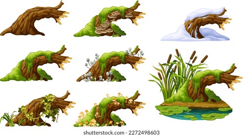 Stump with liana branches, ivy, cattails, bulrush. Log in honey mushrooms, under snow, with fungus. Cartoon broken tree in moss in swamp jungle. Isolated vector elements game on white background.