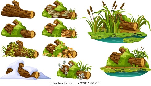 Stump with liana branches, ivy, cattails, bulrush. Log in honey mushrooms, under snow, with fungus. Cartoon broken tree in moss in swamp jungle. Isolated vector elements game on white background.