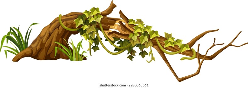 Stump, log with liana branches, ivy. Cartoon broken piece of wood and creeper jungle, tropical leaves. Isolated vector element for computer game on white background.