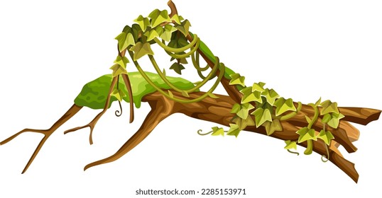 Stump, log with liana branches, ivy. Cartoon broken piece of wood and creeper jungle, tropical leaves. Isolated vector element for computer game on white background.