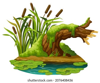 Stump in moss in marsh. Cartoon log in swamp jungle. Broken tree oak, salvinia, water lily. Isolated vector element on white background.