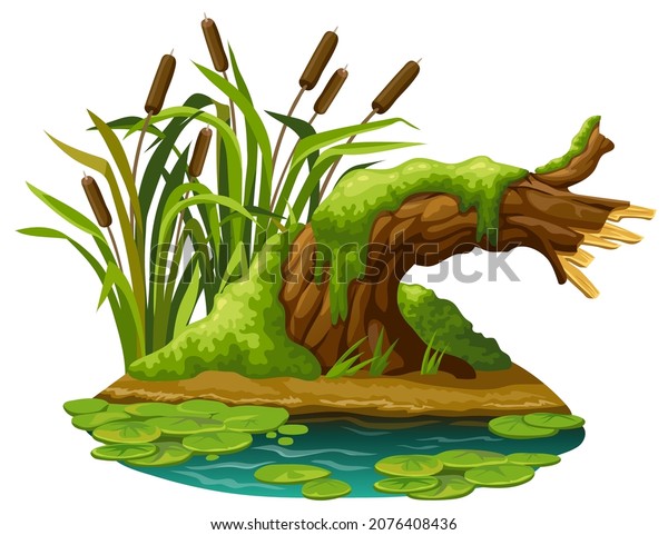 swamp song stump