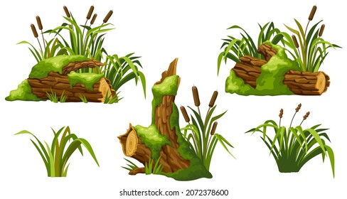 Stump in moss with reeds. Cartoon log, cattail in swamp jungle. Broken tree in fungus and bulrush. Isolated vector element on white background.