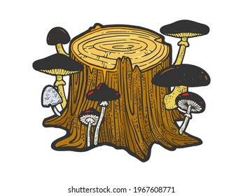 stump overgrown with mushrooms color sketch engraving vector illustration. T-shirt apparel print design. Scratch board imitation. Black and white hand drawn image.