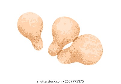 Stump puffball mushroom. Pear-shaped fungi with ronded cap. Natural edible fungus. Autumn forest, fall food. Seasonal harvest. Flat graphic vector illustration isolated on white background