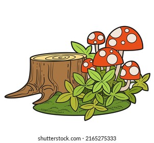 Atrapar en los espesores de la hierba y la variación de color de la mosca agaric para la página de color aislada en fondo blanco